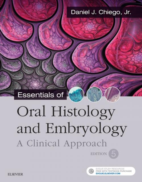 Cover of the book Essentials of Oral Histology and Embryology E-Book by Daniel J. Chiego Jr., MS, PhD, Elsevier Health Sciences