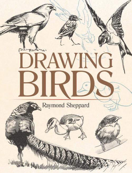 Cover of the book Drawing Birds by Raymond Sheppard, Dover Publications