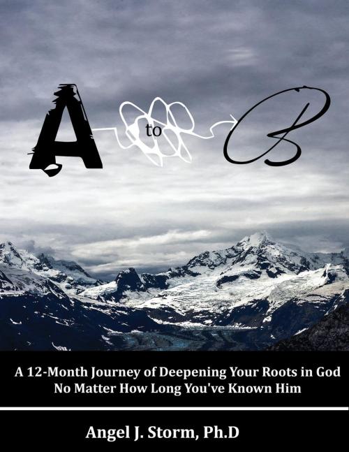 Cover of the book A to B: A 12-Month Journey of Deepening Your Roots in God No Matter How Long You've Known Him by Angel J. Storm, Ph.D., Angel Storm