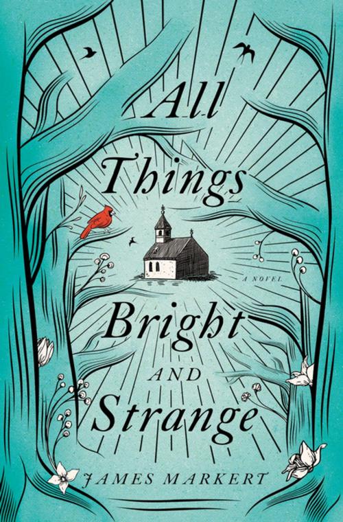 Cover of the book All Things Bright and Strange by James Markert, Thomas Nelson