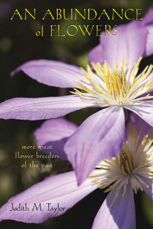 Cover of the book An Abundance of Flowers by Judith M. Taylor, Ohio University Press