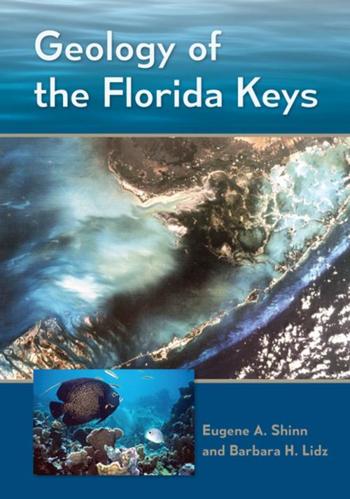 Cover of the book Geology of the Florida Keys by Eugene A. Shinn, Barbara H. Lidz, University Press of Florida