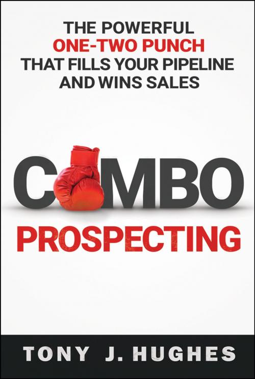 Cover of the book Combo Prospecting by Tony Hughes, AMACOM