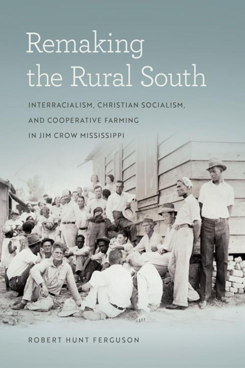 Cover of the book Remaking the Rural South by Robert Hunt Ferguson, Bryant Simon, Jane Dailey, University of Georgia Press