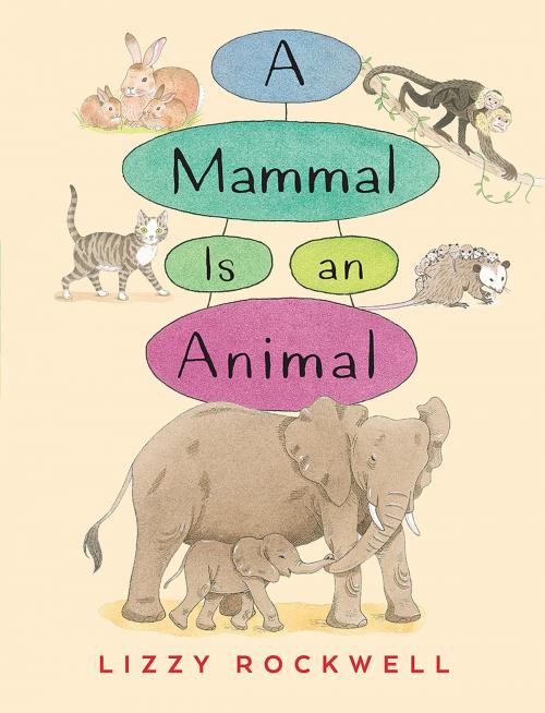 Cover of the book A Mammal is an Animal by Lizzy Rockwell, Holiday House