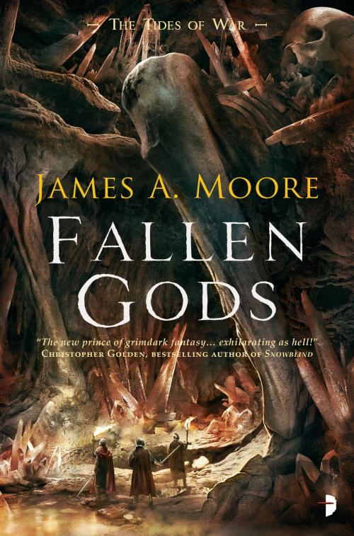 Cover of the book Fallen Gods by James A. Moore, Watkins Media