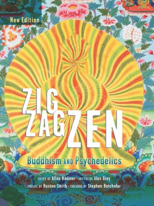 Cover of the book Zig Zag Zen by , Synergetic Press