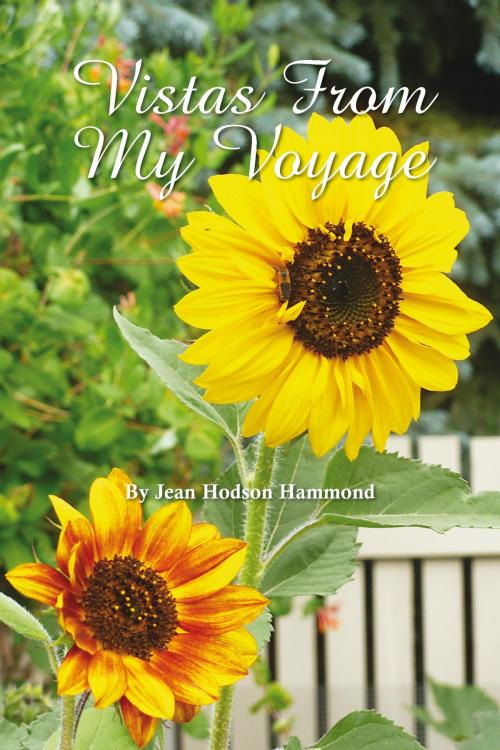 Cover of the book Vistas from My Voyage by Jean Hodson Hammond, BookBaby