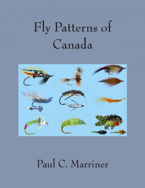 Cover of the book Fly Patterns of Canada by Paul Marriner, Gales End Press
