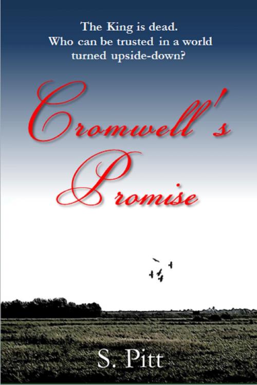 Cover of the book Cromwell's Promise by S. Pitt, Firsthale