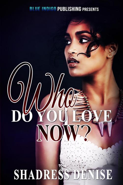 Cover of the book Who Do You Love Now? by Shadress Denise, Shadress Denise