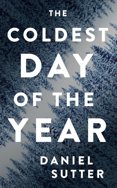 Cover of the book The Coldest Day of the Year by Daniel Sutter, Red Iron Turtle Beast