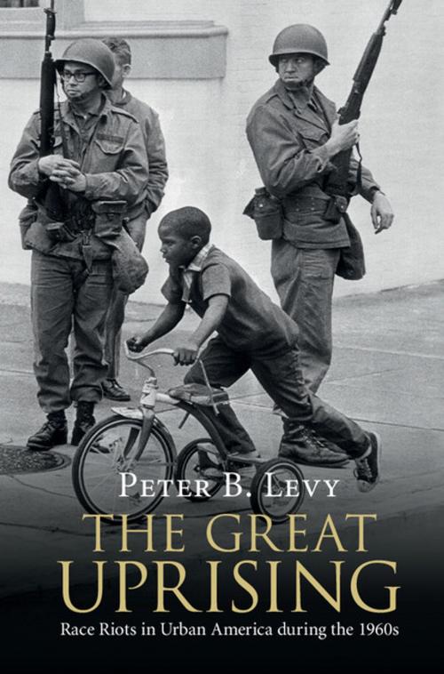 Cover of the book The Great Uprising by Peter B. Levy, Cambridge University Press