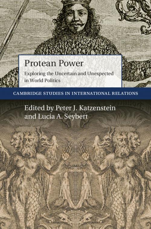 Cover of the book Protean Power by , Cambridge University Press