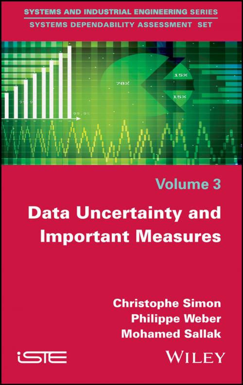 Cover of the book Data Uncertainty and Important Measures by Christophe Simon, Philippe Weber, Mohamed Sallak, Wiley