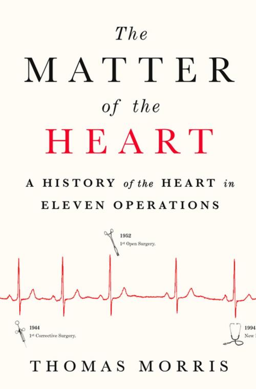 Cover of the book The Matter of the Heart by Thomas Morris, St. Martin's Press