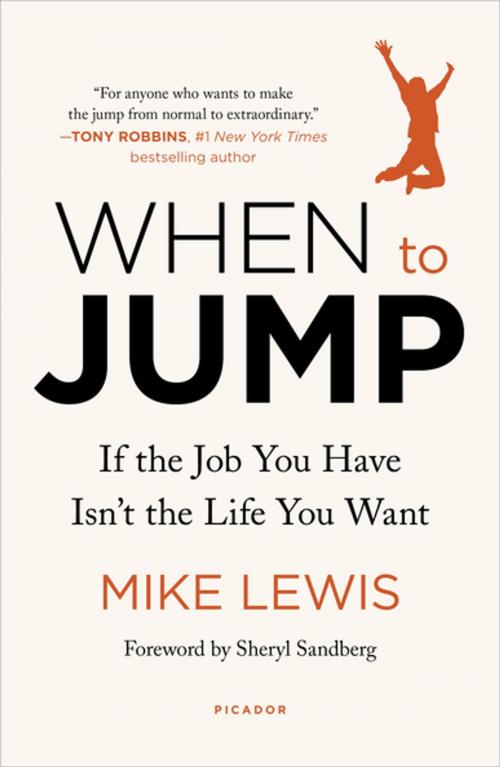 Cover of the book When to Jump by Mike Lewis, Henry Holt and Co.