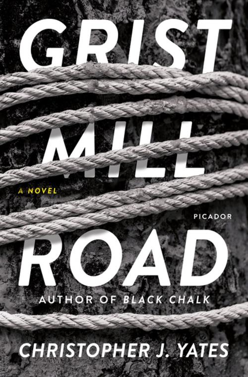 Cover of the book Grist Mill Road by Christopher J. Yates, Picador