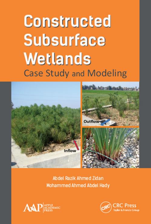 Cover of the book Constructed Subsurface Wetlands by Abdel Razik Ahmed Zidan, Mohammed Ahmed Abdel Hady, Apple Academic Press
