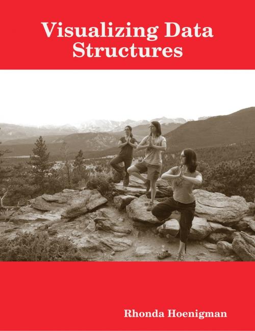 Cover of the book Visualizing Data Structures by Rhonda Hoenigman, Lulu.com