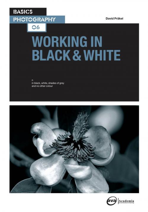 Cover of the book Basics Photography 06: Working in Black & White by David Präkel, Bloomsbury Publishing