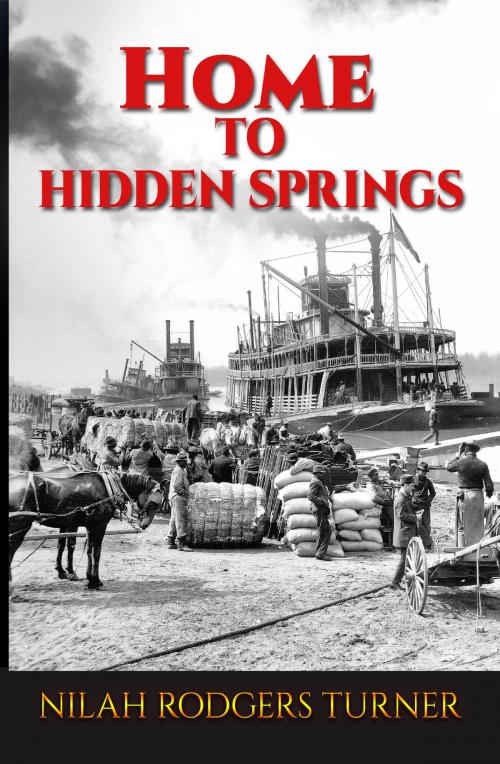 Cover of the book Home to Hidden Springs by Nilah Rodgers Turner, Nilah Rodgers Turner