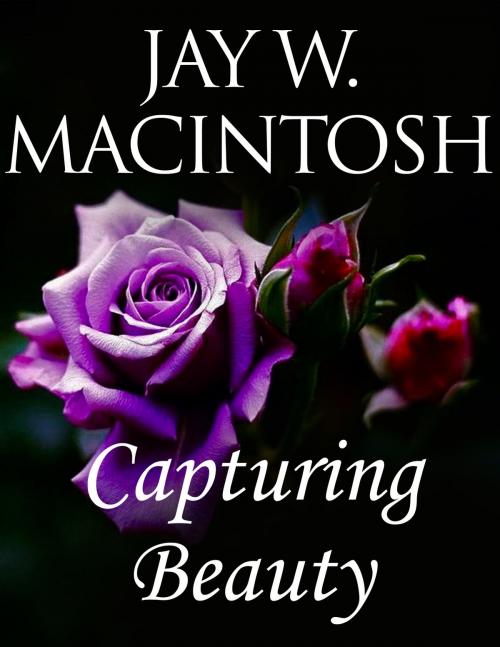 Cover of the book Capturing Beauty by Jay W. MacIntosh, Jay W. MacIntosh