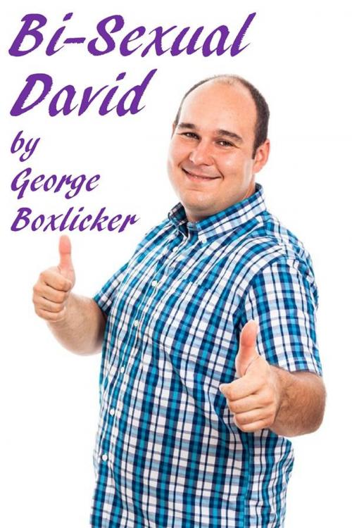 Cover of the book Bisexual David by George Boxlicker, Boruma Publishing