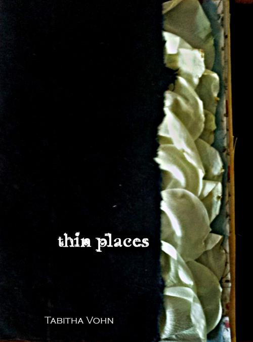 Cover of the book Thin Places by Tabitha Vohn, Tabitha Vohn