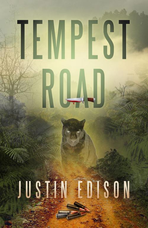 Cover of the book Tempest Road by Justin Edison, Justin Edison