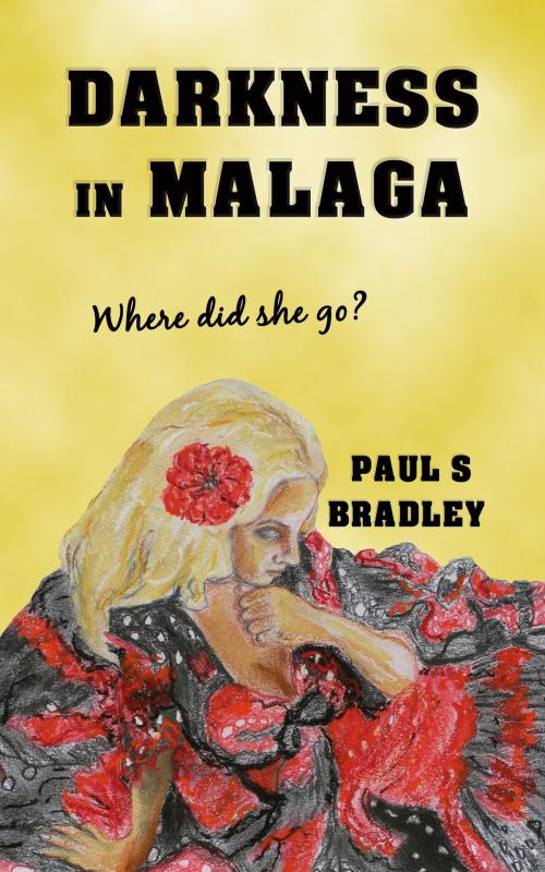 Cover of the book Darkness in Malaga by Paul S Bradley, Paul S Bradley