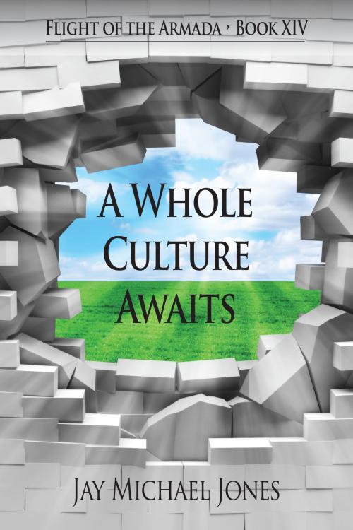 Cover of the book 14 A Whole Culture Awaits by Jay Michael Jones, Jay Michael Jones