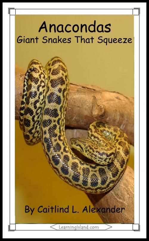 Cover of the book Anacondas: Huge Snakes That Squeeze by Caitlind L. Alexander, LearningIsland.com