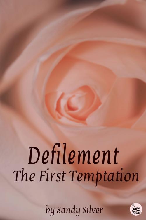 Cover of the book Defilement: The First Temptation by Sandy Silver, Sandy Silver