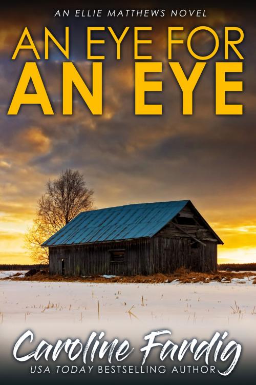 Cover of the book An Eye for an Eye by Caroline Fardig, Caroline Fardig