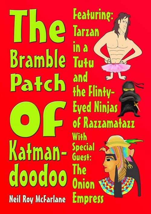 Cover of the book The Bramble Patch of Katmandoodoo by Neil McFarlane, Neil McFarlane