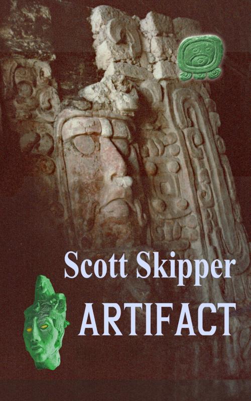 Cover of the book Artifact by Scott Skipper, Scott Skipper