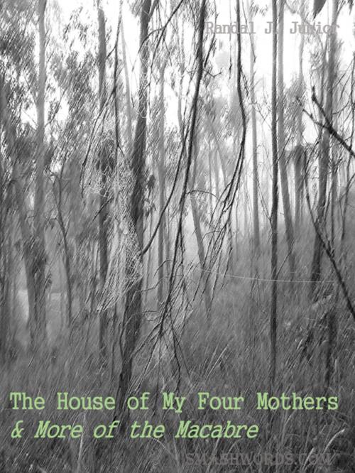 Cover of the book The House of My Four Mothers & More of the Macabre by Randal J. Junior, Randal J. Junior