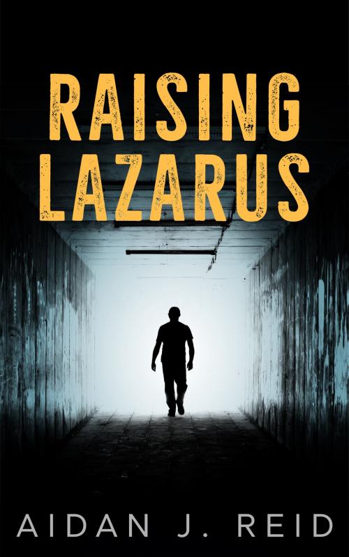 Cover of the book Raising Lazarus by Aidan J. Reid, Aidan J. Reid