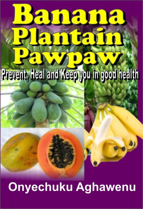 Cover of the book Banana Plantain Papaw Prevent, Heal And Keep You In Good Health by Onyechuku Aghawenu Ph.D, Mongraphics Ltd