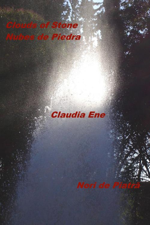 Cover of the book Clouds of Stone by Claudia Ene, Claudia Ene