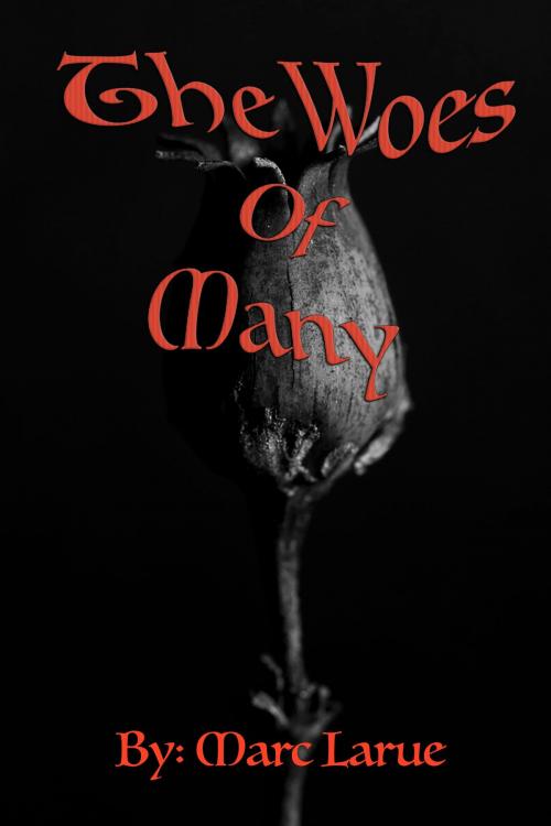 Cover of the book The Woes of Many by Marc Larue, Marc Larue