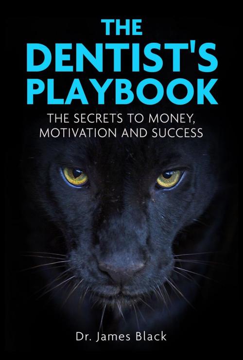 Cover of the book The Dentist's Playbook - The Secrets to Money, Motivation and Success by Dr. James Black, Dr. James Black