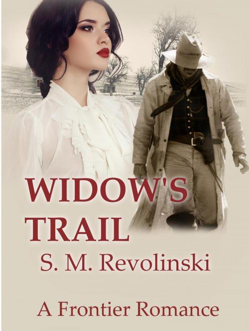 Cover of the book Widow's Trail by S. M. Revolinski, S. M. Revolinski