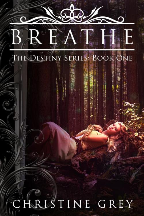 Cover of the book Breathe by Christine Grey, Grey