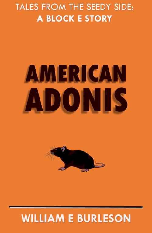 Cover of the book American Adonis by William E Burleson, Flexible Press