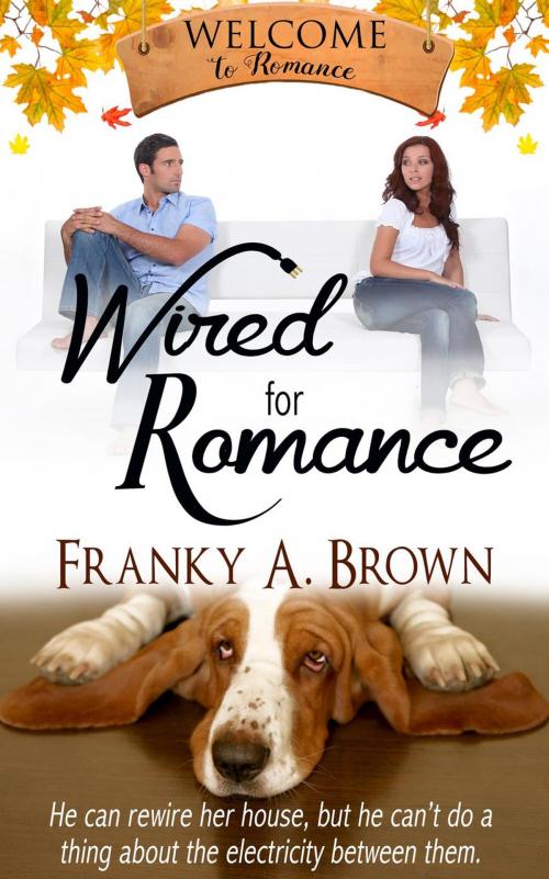 Cover of the book Wired for Romance by Franky A. Brown, Pink Palmetto Press