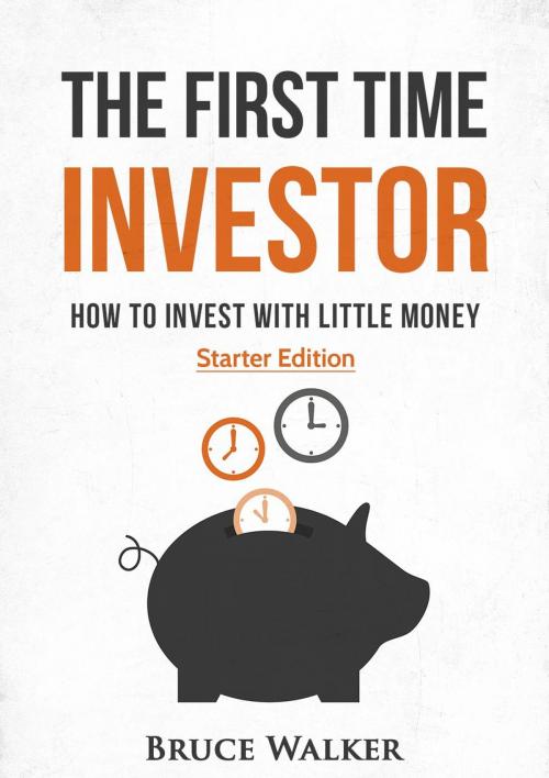 Cover of the book The First Time Investor: How to Invest with Little Money by Bruce Walker, Bruce Walker