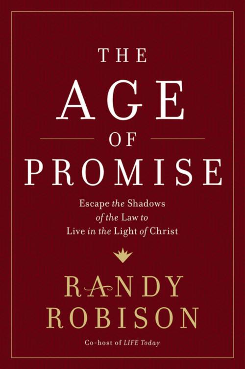 Cover of the book The Age of Promise by Randy Robison, Thomas Nelson