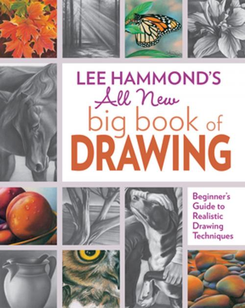 Cover of the book Lee Hammond's All New Big Book of Drawing by Lee Hammond, F+W Media